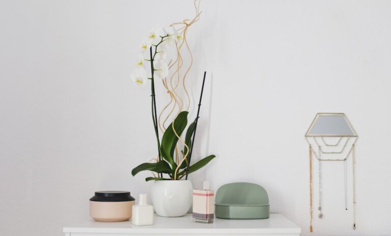 Transform Your Space with Unique Decor from Aurora Decorari